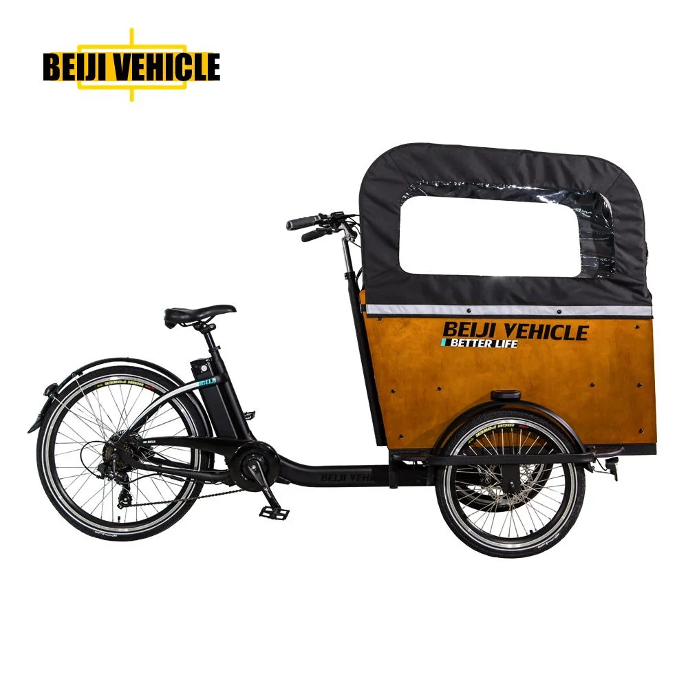 Hot Sale Electric Bike 250W Motor 3 Wheels Electric Cargo Bike with Wooden Box Tricycle for Carry Kids and Pets