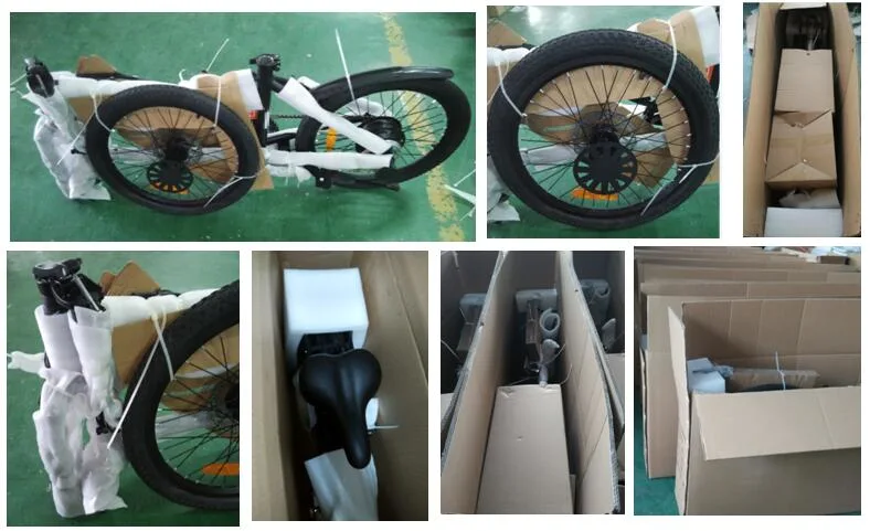 26 Inch Chinese Cheap One Wheel Hidden Battery MID Driver E-Bicycle