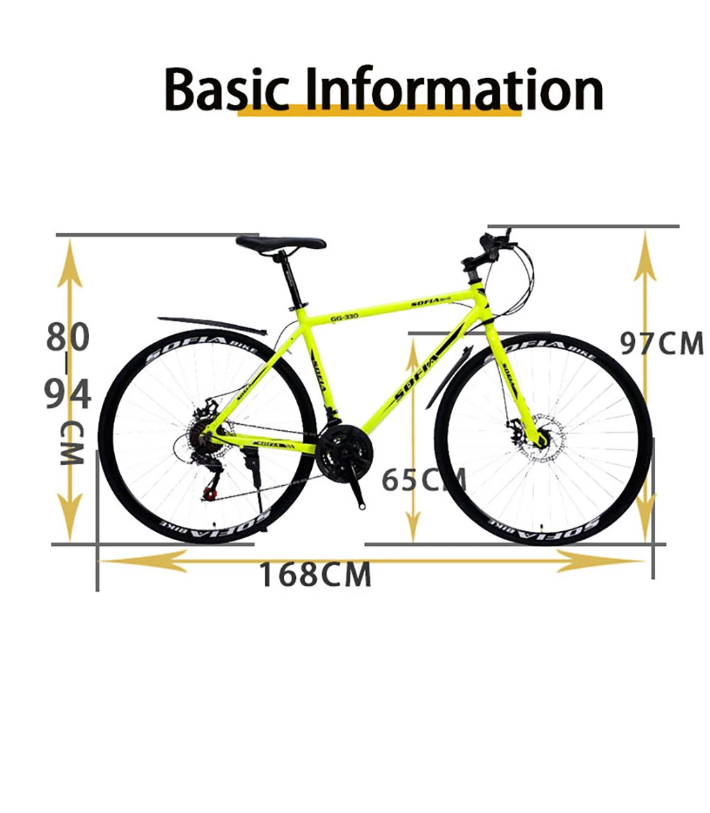 Latest Factory in Stock Direct Price 21 Speed Frame 20" 24" 26" 27.5" 29" Electric Mountain Bike Bicycle MTB Bike Alloy Mountain Bike Fold Bike Road Bike