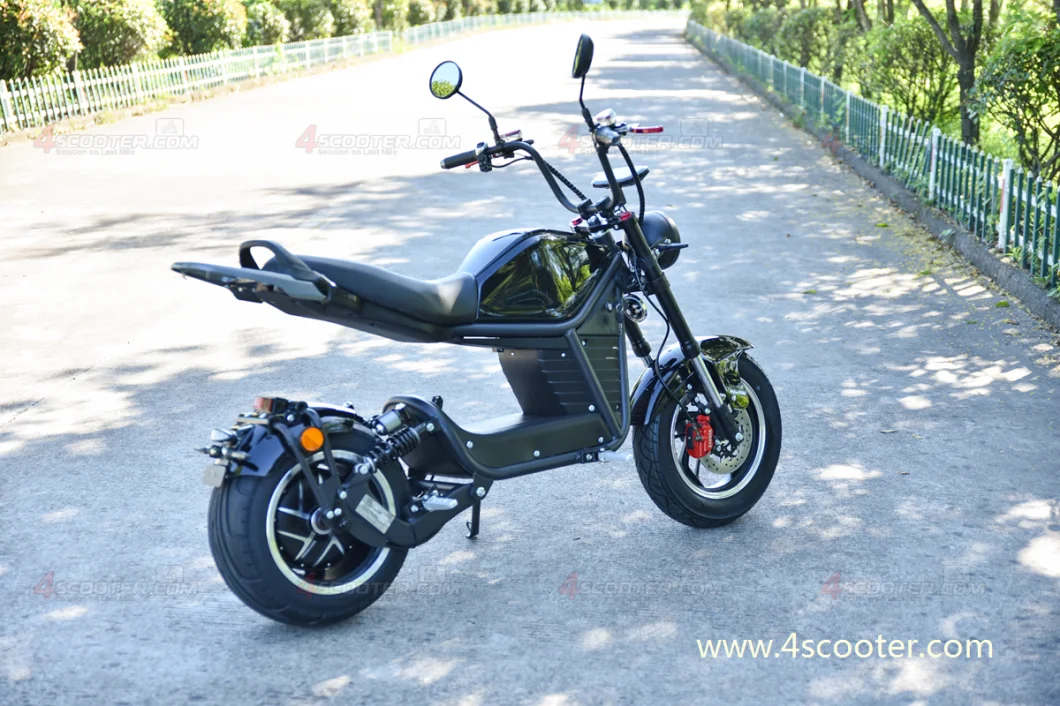 China Factory 3000W 4000W 5000W EEC Adult Electric Motor Scooter