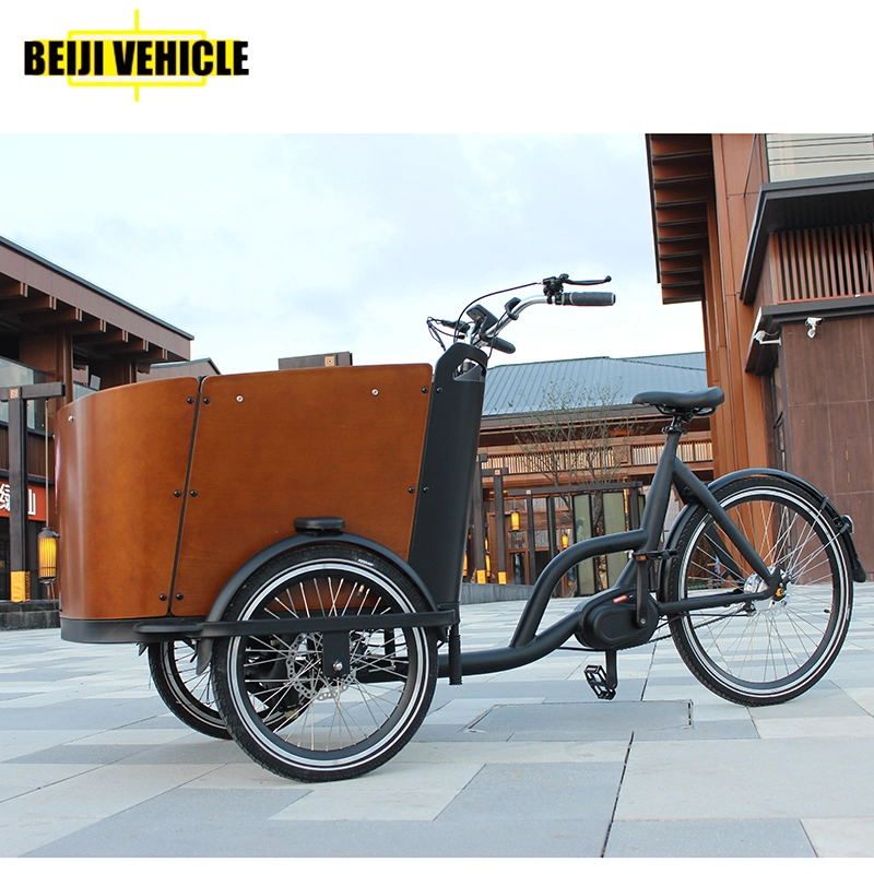 Factory Price 36V/19.2ah Lithium Battery Cargo Delivery Bike Aluminum Frame Electric Cargo Bike for Carry Children