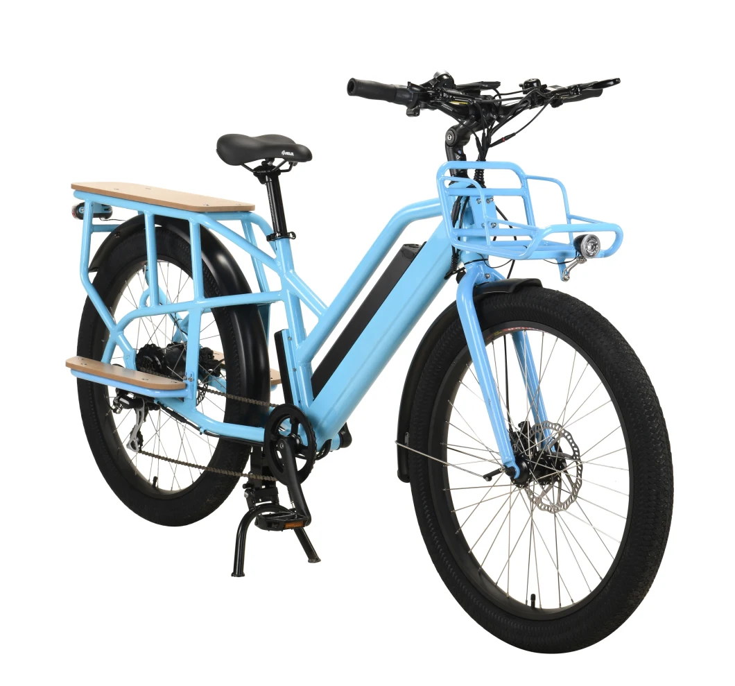 Outdoor Food Cargo Delivery E-Bicycle Singel Gear Electronic Bikes Manufacture Price Ship out Directly