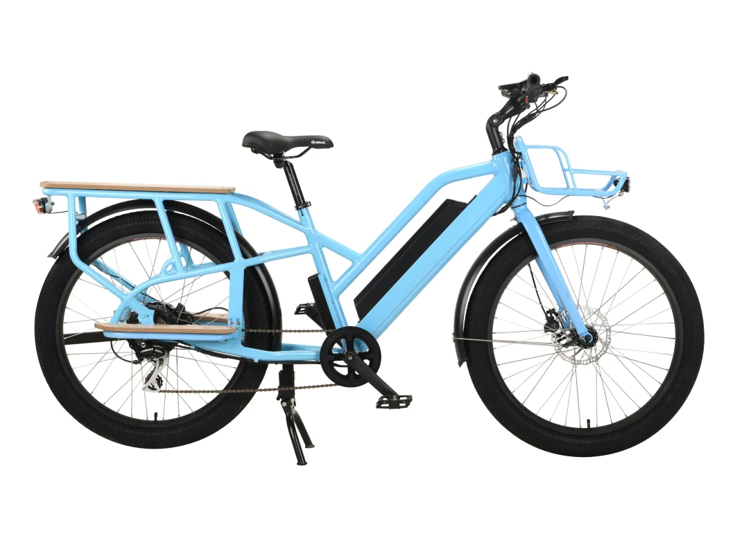 Outdoor Food Cargo Delivery E-Bicycle Singel Gear Electronic Bikes Manufacture Price Ship out Directly