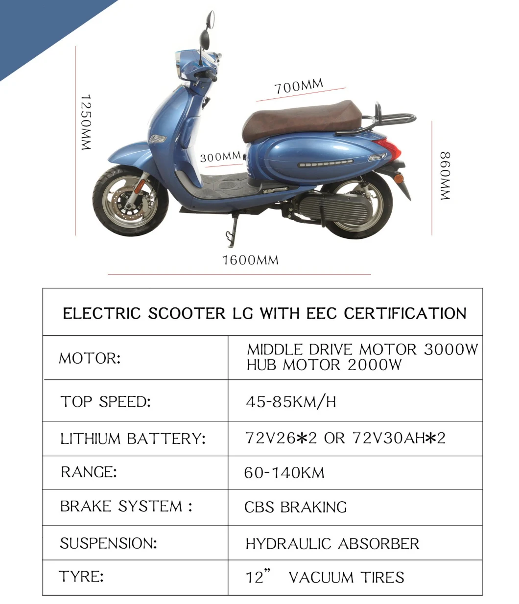 EEC L1e L3e Coc Portable Double Lithium Battery 2000W Electric Scooter