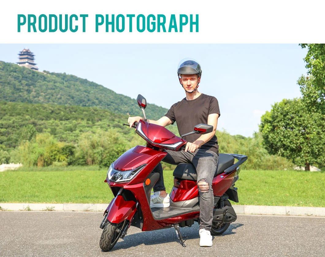 Flymate China Manufacturer High Speed Cheap Adult CKD Electric Motorcycle