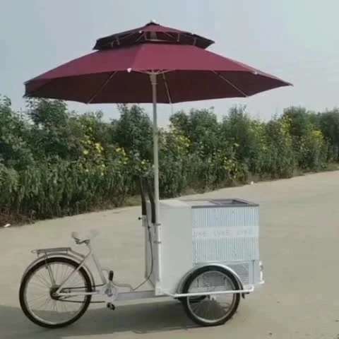 Bicicleta de carga de 3 rodas aprovada pela CE com congelador Carrinhos de venda de alimentos para venda Triciclo elétrico de sorvete