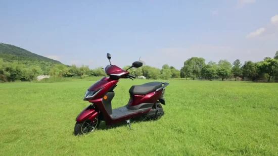 Flymate China Fabricante de motocicleta elétrica CKD adulta barata de alta velocidade