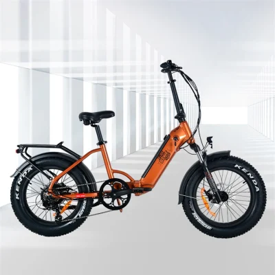 Bicicleta elétrica removível 48V 14ah Li-ion quadro Al dobrável