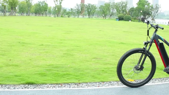 2018 Fabricante Chinês 20 polegadas Fat E-Bike 48V 500W Electric Bike Fat Tire