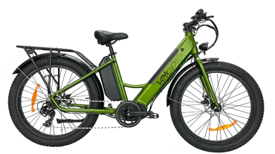 Bicicleta de montanha elétrica colorida personalizada com bateria dupla de 500 W com pneu gordo