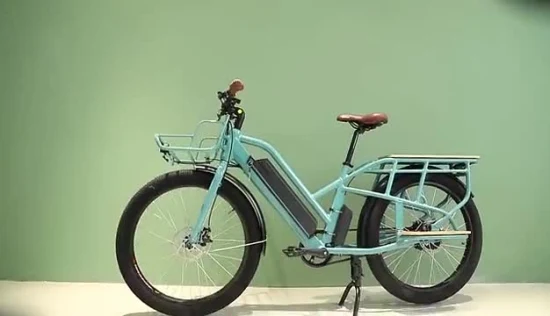 Entrega de carga de comida ao ar livre E-Bicycle Singel Gear Preço de fabricação de bicicletas eletrônicas Enviar diretamente