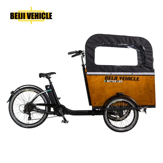 Venda imperdível bicicleta elétrica 250 W motor 3 rodas bicicleta elétrica de carga com caixa de madeira triciclo para transportar crianças e animais de estimação